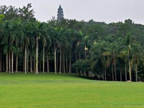 南宁老街与植物园