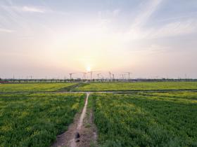 钱塘高铁新城小区建设