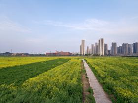 钱塘高铁新城小区建设