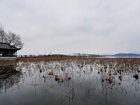 西湖保俶塔、断桥