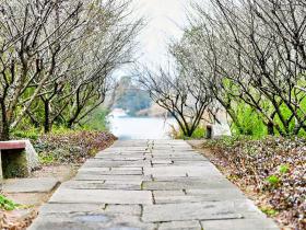 杭州西溪湿地