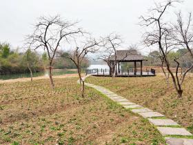 杭州西溪湿地