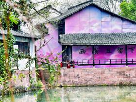 杭州西溪湿地