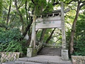 桐庐-桐君山
